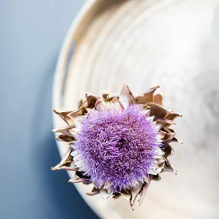 Haus Burgermeister älplihorn